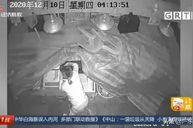 半夜偷海鲜做下酒菜？奇葩女子酒足饭饱后 东莞民警找上门图片