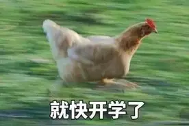 我在兄弟宿舍看见了女友. 发生在宿舍的吃瓜名场面弱弱感受下图片