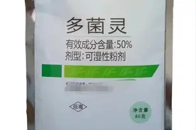 种植户用多菌灵防病，有3个误区不能踩，2个技巧可使效果大增图片