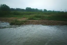 大风大浪搏鳡鱼图片