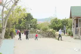 东山：【重启】中驰山庄恢复开放第一天图片
