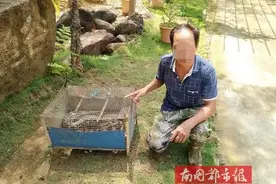 抓蟒蛇还发抖音、非法收购野生动物...海南警方侦破一批涉野生动物刑事案件图片