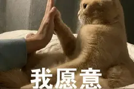 你们穿公务员制服也太好看了吧图片