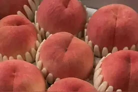 想吃桃子~图片