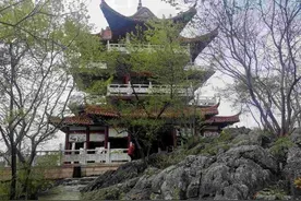 合肥郊区有个难得的参禅拜佛圣地，拥有天下第一奇花，值得一游图片