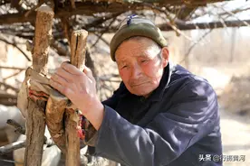 8旬老人靠养羊年入3万，全给孙子娶媳妇，提起未婚儿子一脸愁容图片