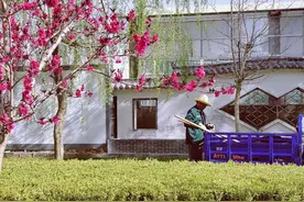 靖远园林工人——用汗水“浇灌”城市绿荫图片