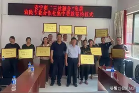云南首笔“三社融合”贷款落地安宁图片