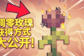 我的世界：凋零玫瑰获得方法原来是这样！凋零玫瑰获得方式大公开