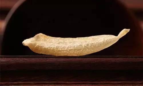 黄花筒是什么鱼的胶 2026年黄花筒胶图片大全