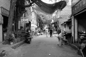 西安自强东路变迁记图片
