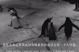 我的心好冷图片