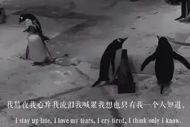 我的心好冷图片