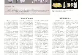 鲁山发现距今3.2万年人类头骨化石图片