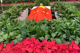 泪目！袁隆平院士遗体送别仪式现场，民众跪地痛哭图片