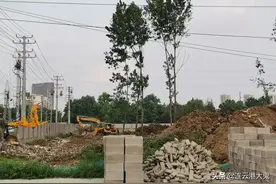 赣榆易居学府东侧地块开始伐树平整土地，准备土拍开发的节奏？图片
