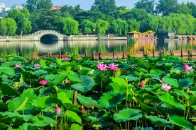 济南大明湖的传说，你知道吗？图片
