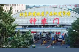 疫情反扑，新发地绿通运输受阻，卡车司机的日子很难过图片
