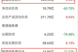 明发集团至暗时刻：负债590亿，美元债“爆雷”图片