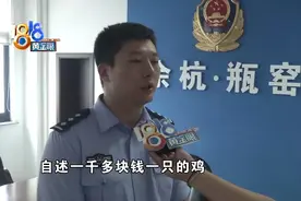 千元身价的斗鸡，“住300方花园”的猫，都丢了图片