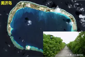150多万株热带植物扎根南沙，三大岛加速转变成真正的自然岛图片