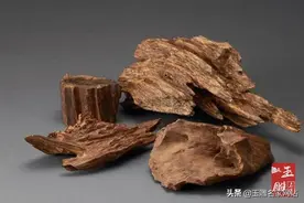 什么是沉香木？沉香和沉香木的区别图片