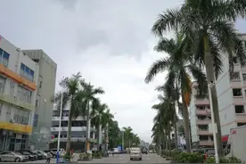 深圳大浪街道，200多个工业区，3000多家工厂打工者：随便换工作图片