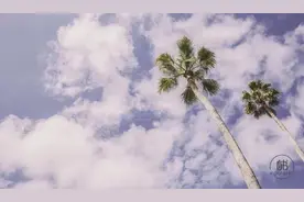 越是无能的人，越觉得自己无所不能图片
