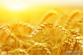 党团费用收到的专用发票能否进行税前抵扣图片