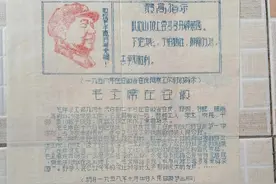 毛主席视察安徽省舒茶人民公社时对茶叶种植的指示图片