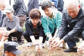 注意！百色公益花坛葬4月1日起开始报名 安葬费全免图片