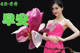 一生简单，春夏秋冬交替轮换；一生艰难，寒来暑往奔波劳苦，早安图片