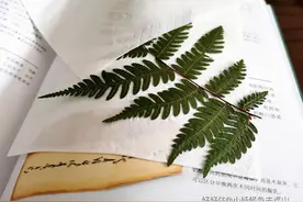 看一眼就会！这样DIY，装饰画谁还用得着买啊图片