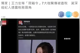 台媒曝多位外国籍明星遭查税，王力宏受访回应：不要信谣言图片