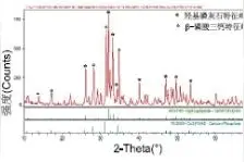 煅烧骨/壳聚糖复合材料的制备及表征图片