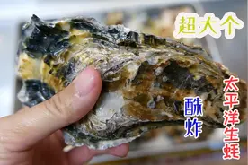 撬开巨型日本太平洋生蚝，蚝肉裹唐扬粉炸熟让人口水直流！视频封面