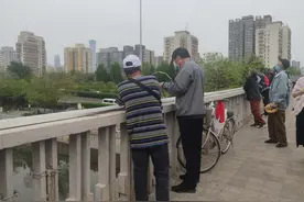 影响交通、威胁行人，路边放风筝安全隐患大图片