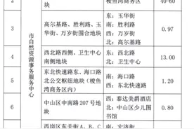 大连2021计划土拍地块都在这，你最看好哪里呢？图片
