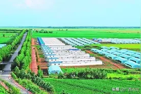 广西：认定现代特色农业示范区13851个图片