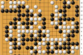 动图棋谱-第1届中日围棋擂台赛 聂卫平完胜加藤正夫图片