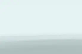 全球连线 | 百年归航——墨西哥华裔机长扎根中国图片