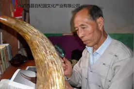 天下第一角——中华麒麟角揭谜（作者 杨永明）图片