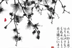 水墨画风格的玉兰花，清新淡雅有意境，手机摄影后期教程图片