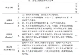 蓝莓病害大全（建议收藏）图片