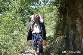 兄弟俩带着美好心愿进深山，2千块钱买4只羊，赚够娶媳妇钱再出来图片