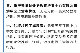 重庆整顿风暴：组建学术专家团严查超前教学，18家机构被点名图片