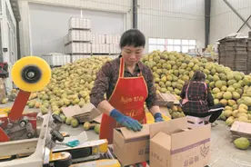 中国两家使命必达的快递之一，邮政不只是送快递，还在农村干大事图片