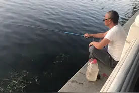 钓鱼，中年男人的集体出轨图片