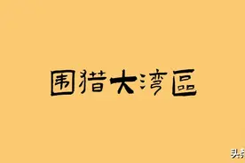 下一个“深圳湾一号”还会出现吗？图片