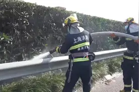 高速公路绿化带接连出现火情 消防部门提醒：切勿乱丢烟头图片